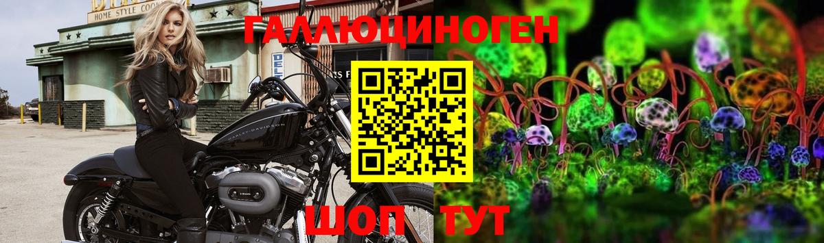 Люберцы  Псилоцибиновые грибы Psilocybe  Вход с VPN 